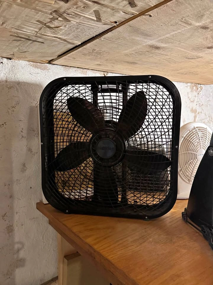 Holmes Box Fan