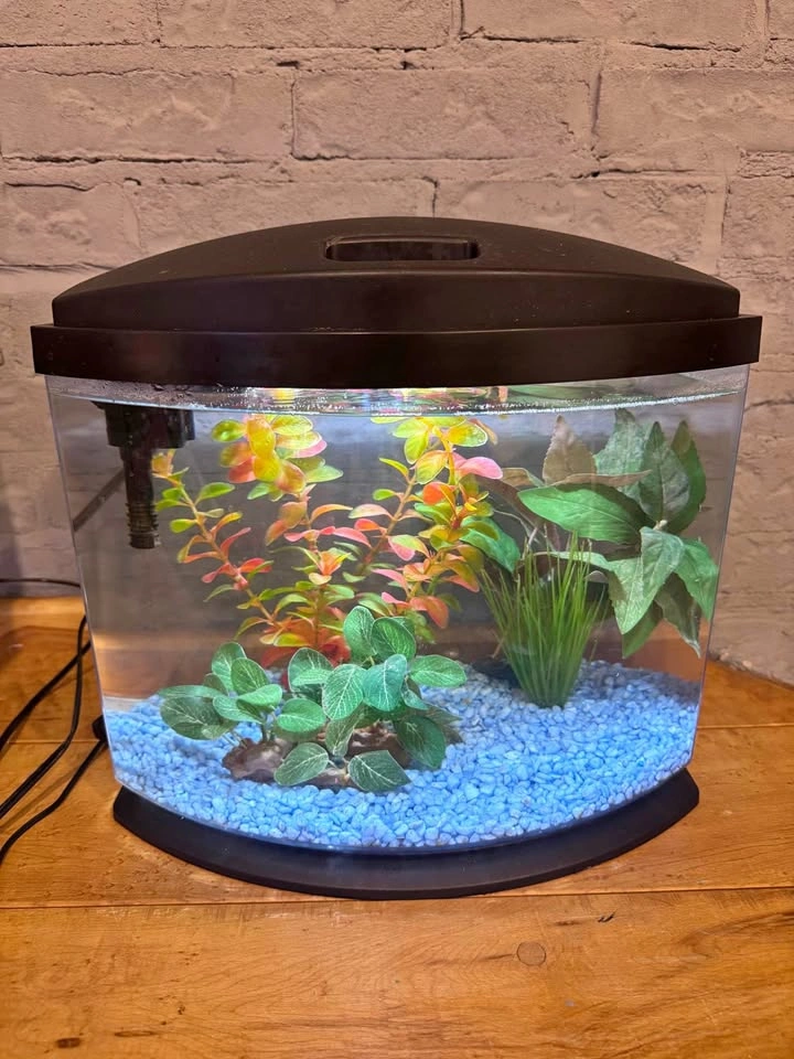 Aqueon MiniBow 5 Gallon Betta Setup: LED tank + filter + heater