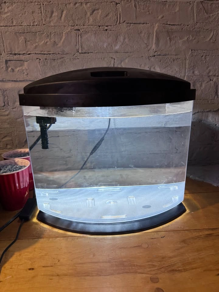 Aqueon MiniBow 5 Gallon Betta Setup: LED tank + filter + heater - photo 3