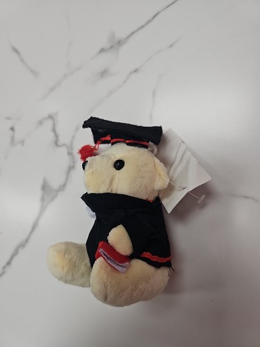 Graduation Teddy Bear Plush w/ Cap Gown Diploma Gift Grad - photo 3