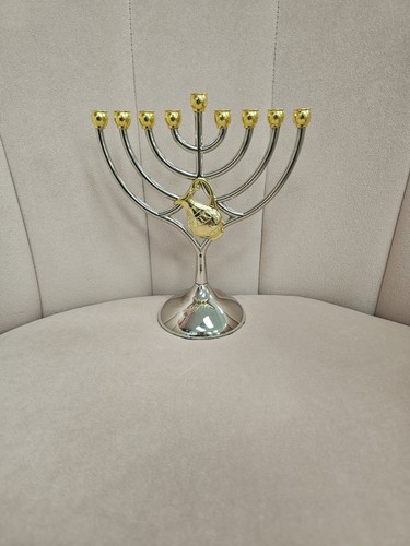Hanukkah menorah Candles