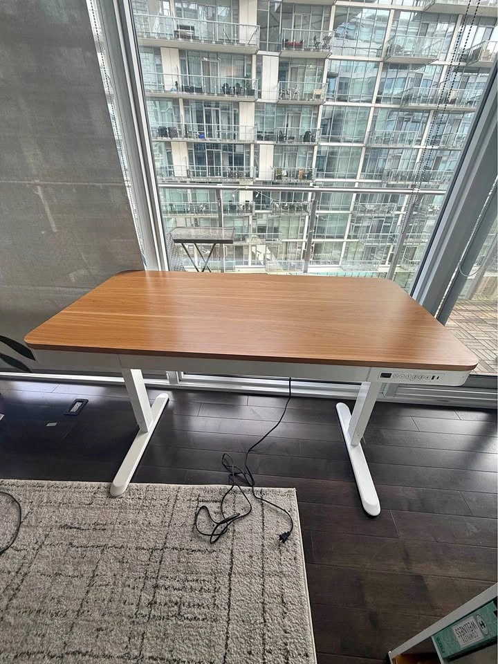 FlexiSpot 48 inch All-in-One Electric Standing Desk