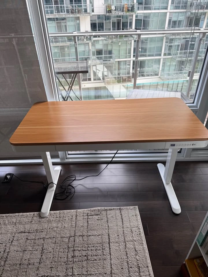 FlexiSpot 48 inch All-in-One Electric Standing Desk - photo 2