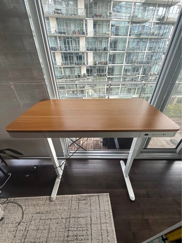 FlexiSpot 48 inch All-in-One Electric Standing Desk - photo 3