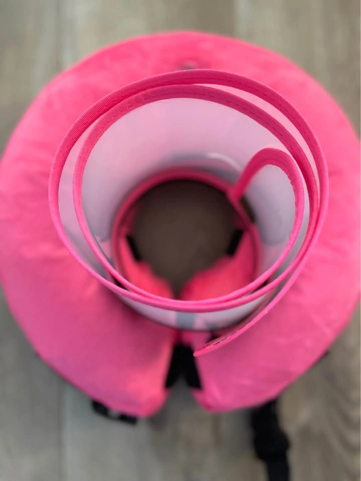 Barkless 2-in-1 Inflatable Dog Cone Alternative - Hot Pink - M - photo 3