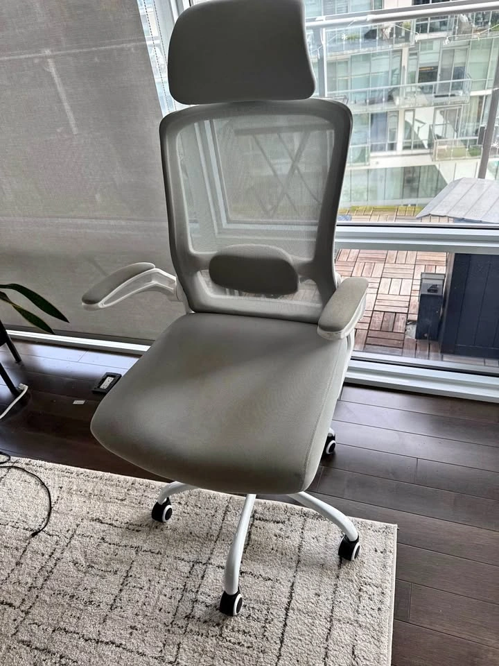 Ergonomic Mesh Office Chair with Headrest