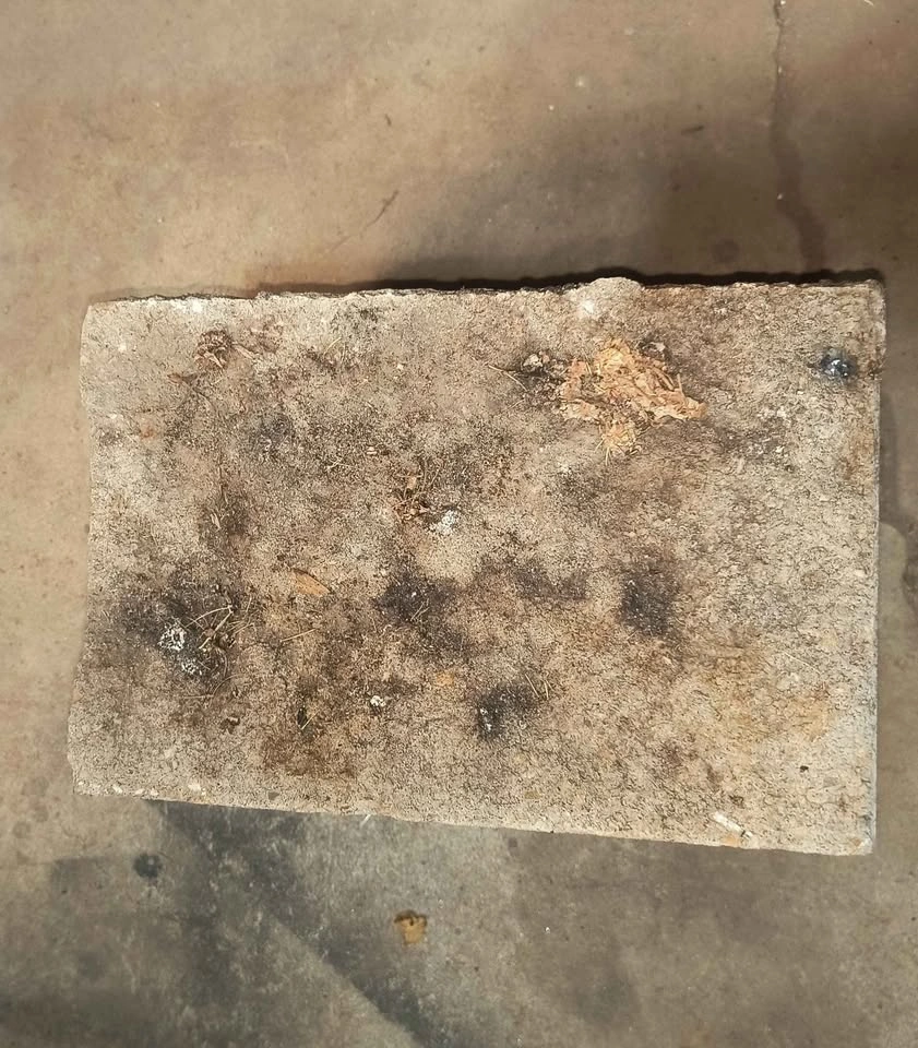Textured concrete edging - photo 2