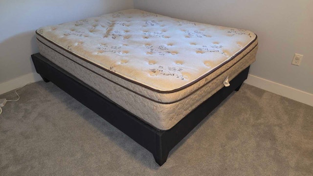 Queen Bed with Grey Base