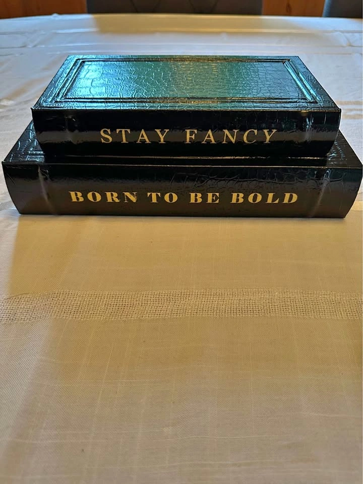 Set of 2 Faux Book Decorative Storage Boxes