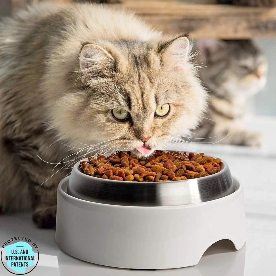 CatGuru Food Table for Pet Bowl