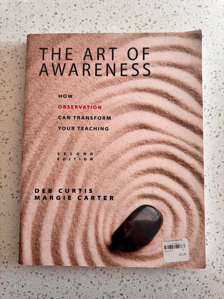 The Art of Awareness Second Edition by Deb Curtis and Margie Car