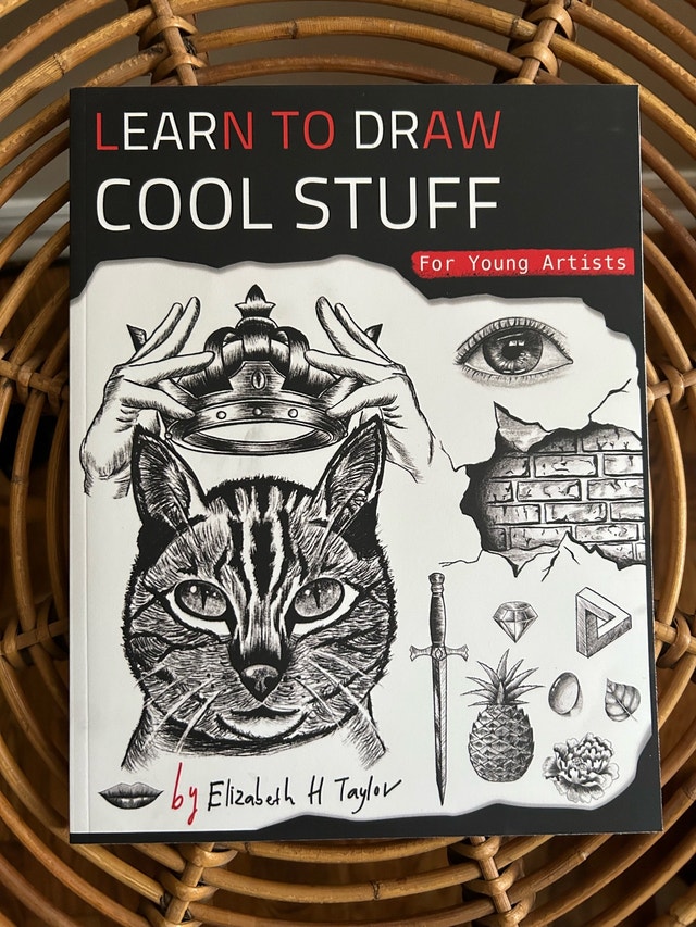 Instructional Drawing Books - photo 5