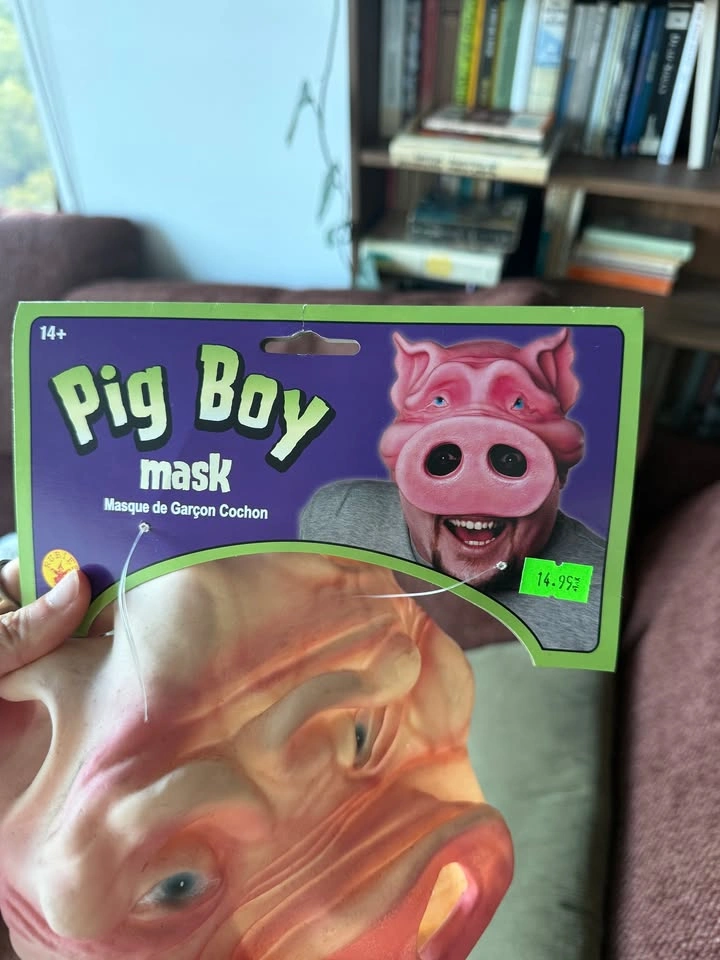 Pig Mask Halloween Costume