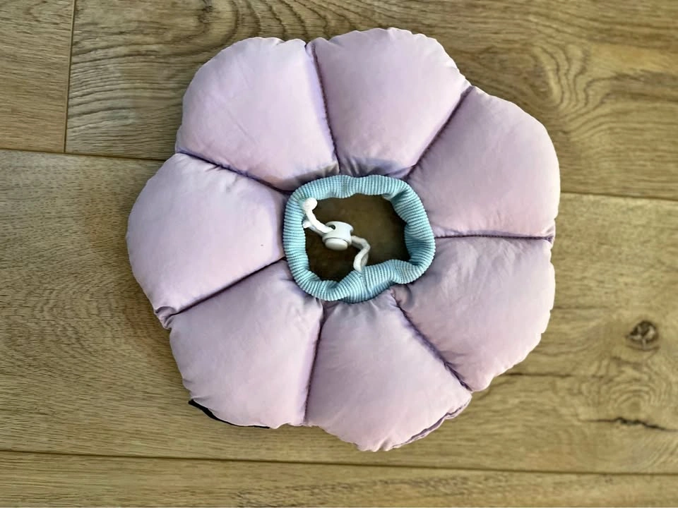 Plush Flower Pet Recovery Collar / Cone - Lavender - Brand New