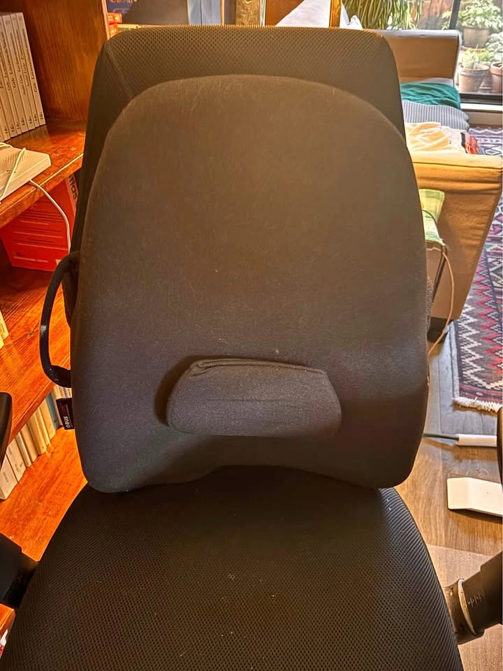 ObusForme Lowback Backrest Support with Lumbar Pad