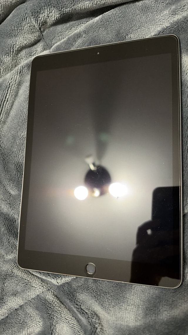 Apple iPad
