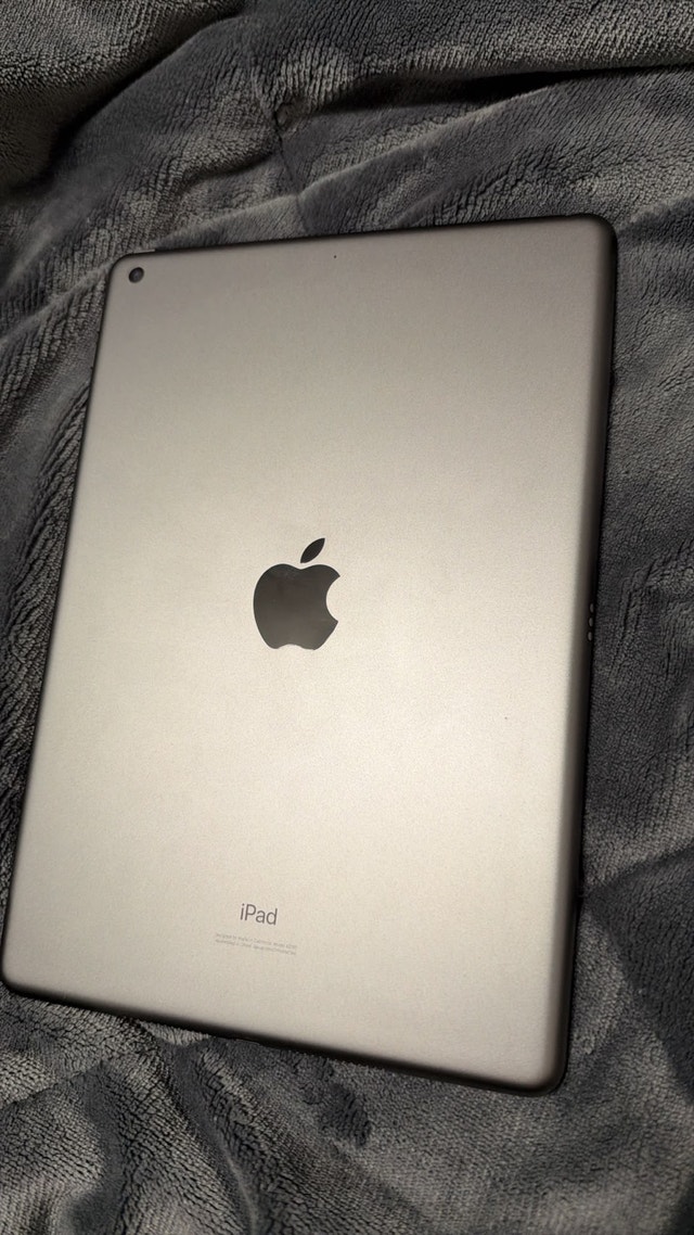 Apple iPad - photo 2
