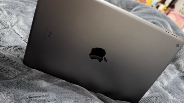 Apple iPad - photo 3
