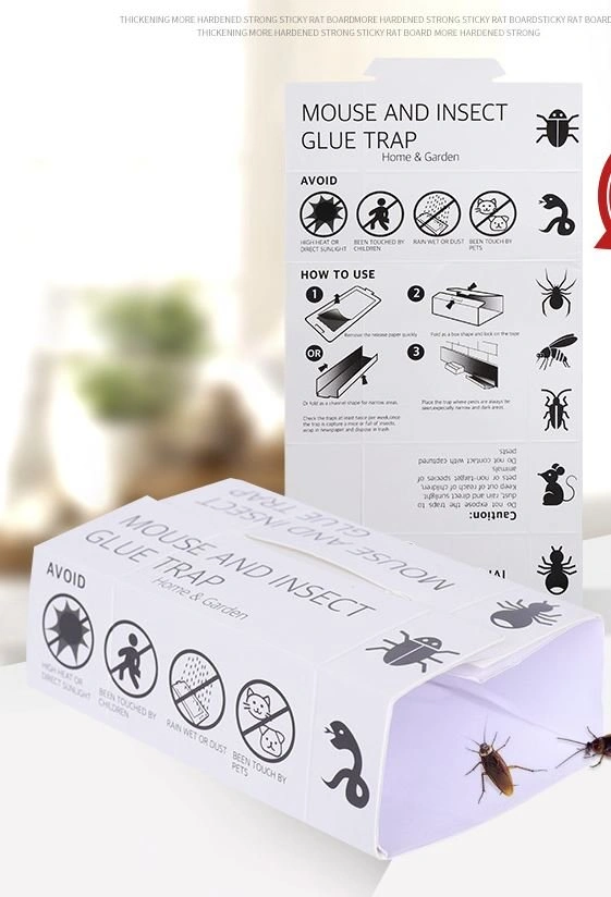 10 Pcs Indoor Pre-Scented Glue Trap for Mouse & Insects - photo 2