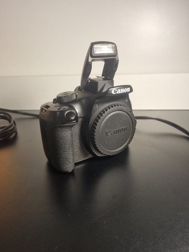 Canon 1300D/Rebel T6 Bundle -- 18-55mm III + 55-250mm STM - photo 3