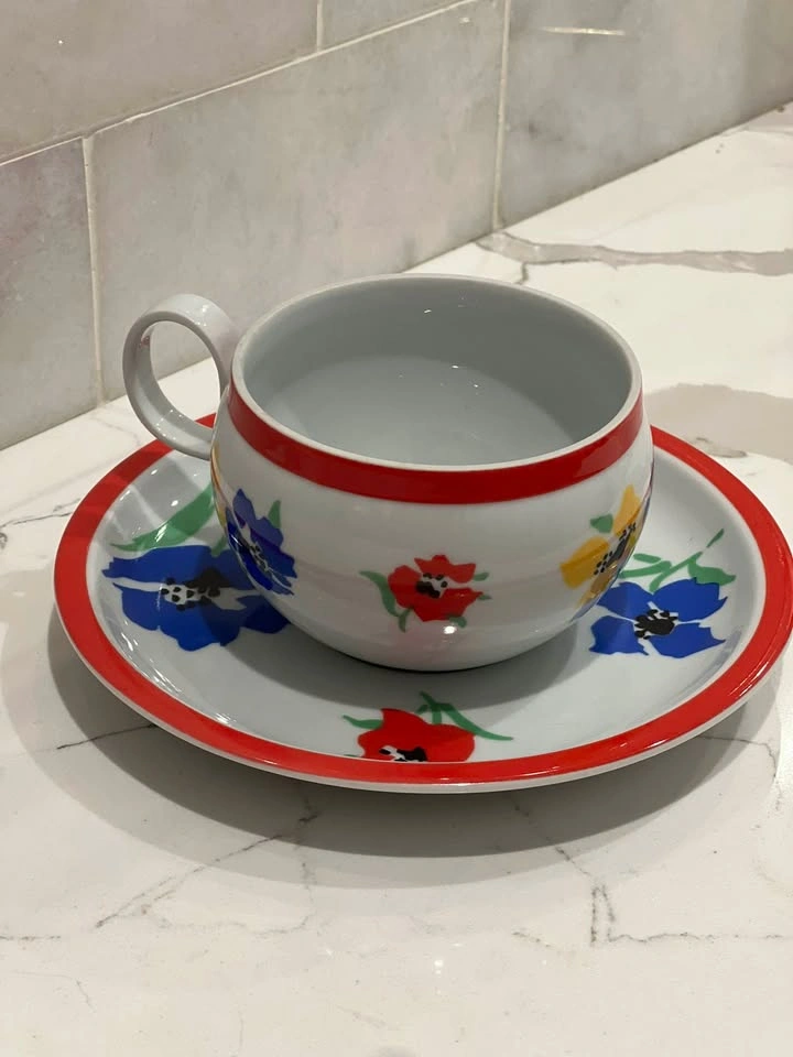 Hearthstone Block ANEMONE Cup & Saucer Set by Vista Alegre - photo 3