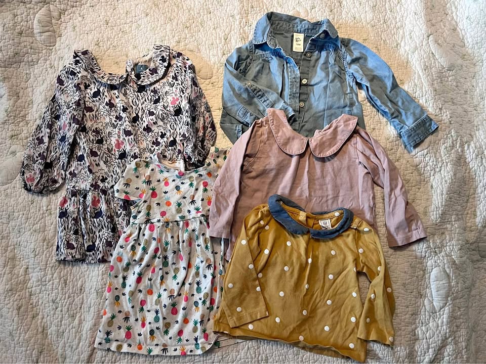 18 month girls shirt/dress bundle