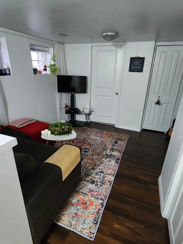 Big area rug livingroom - photo 2