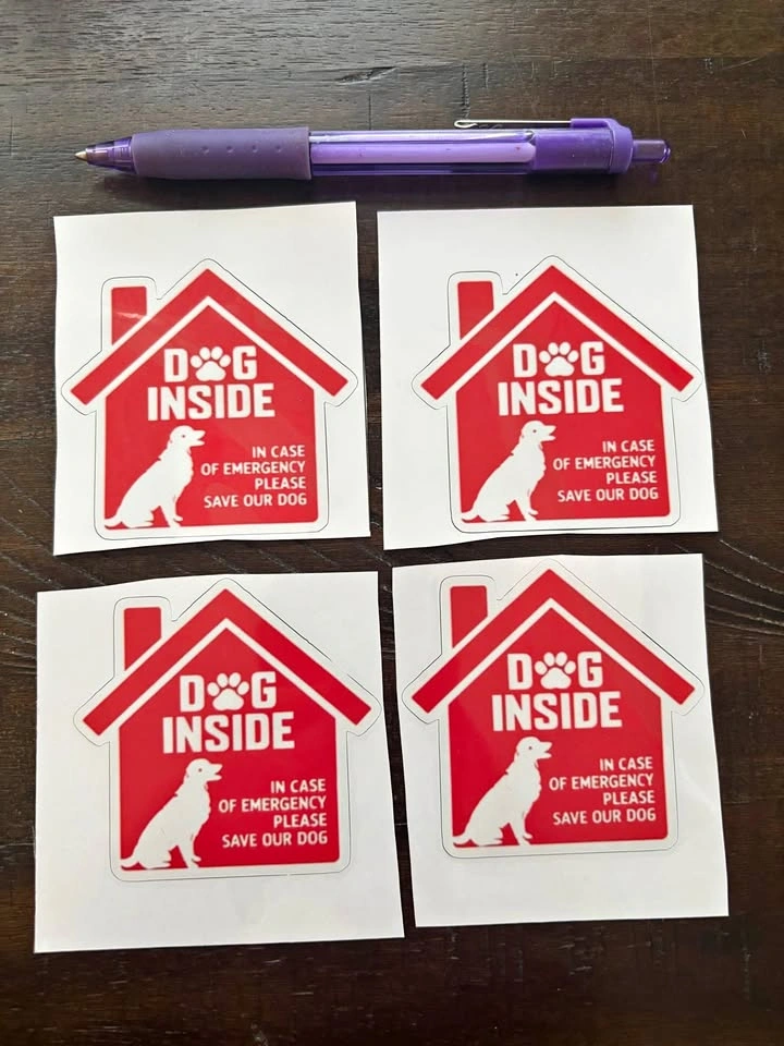 Dog in home sticker