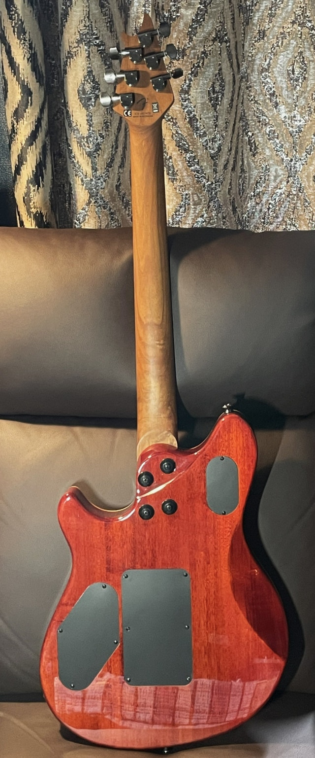EVH Wolfgang Standard Exotic (Poplar Burl) - photo 3