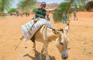 Wanted: Operation Christmas Child Shoebox image indicator(3)