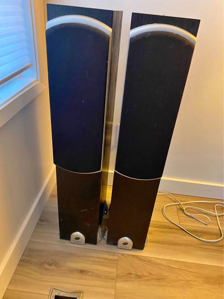 Precision Acoustic Speakers