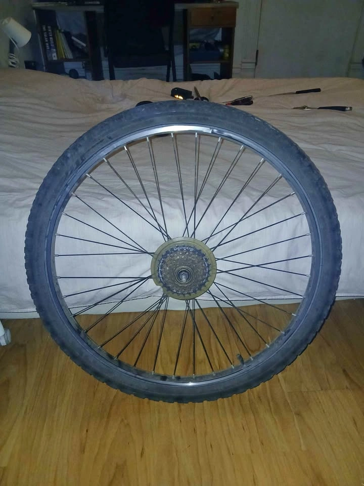 Bike Wheel - Rear - rim + tire
