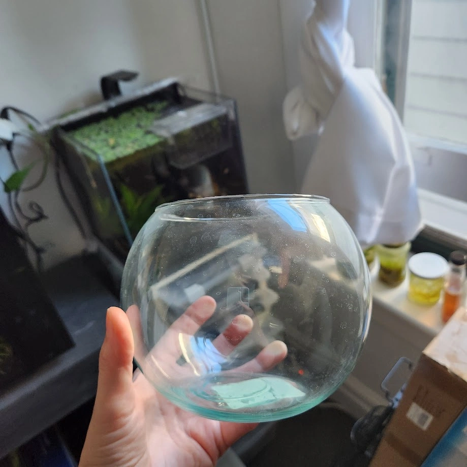 2 Small Decorative Bowls or Tiny Aquarium aquascape bowls - photo 2