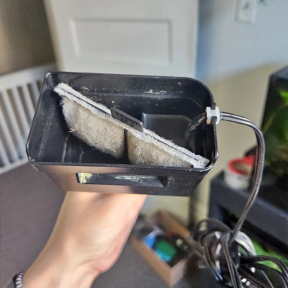 Small Topfin filter for small PetSmart acrylic tanks