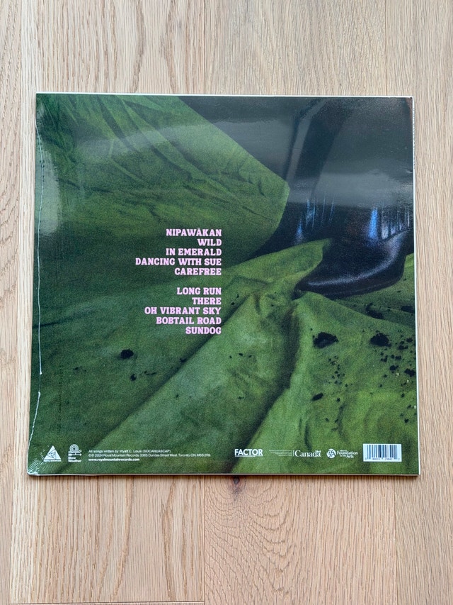 Wyatt C. Louis – Chandler (Vinyl LP) - photo 2