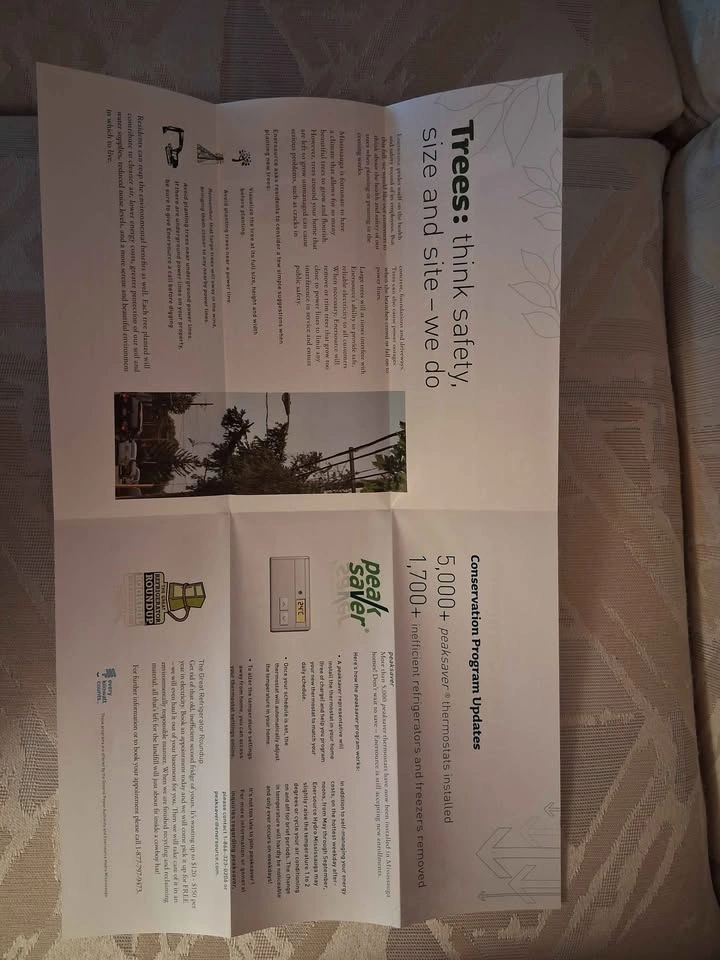 Vintage 2008 Mississauga Enersource Ephemera Newsletter - photo 2