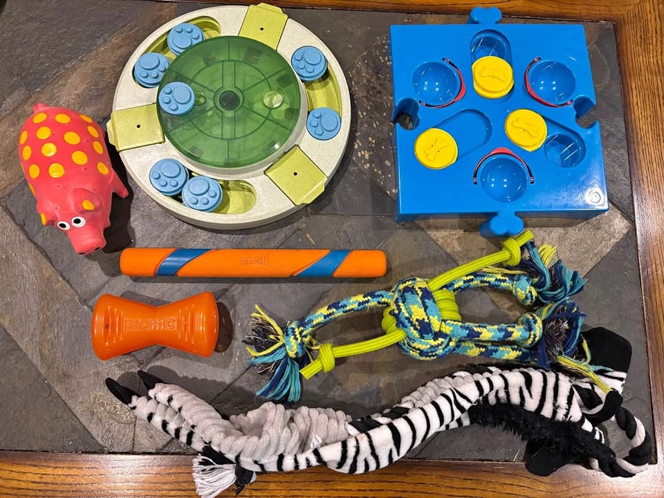 Gently Used Premium Dog Toys & Interactive Puzzles (Lot of 7)