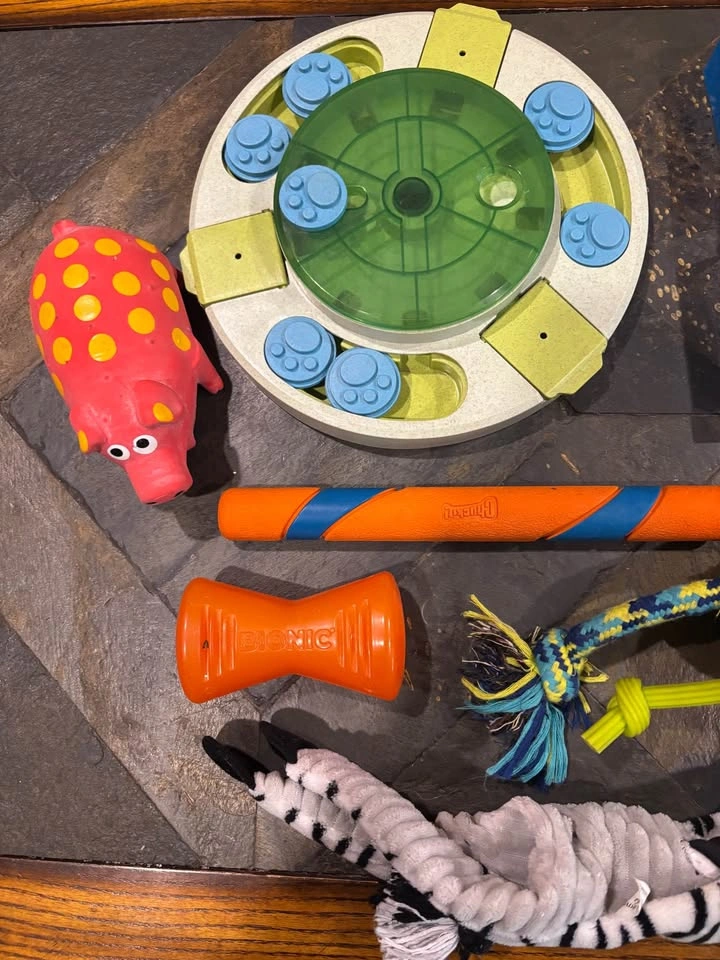 Gently Used Premium Dog Toys & Interactive Puzzles (Lot of 7) - photo 2