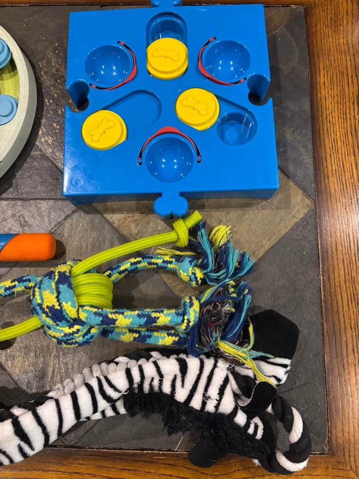 Gently Used Premium Dog Toys & Interactive Puzzles (Lot of 7) - photo 3