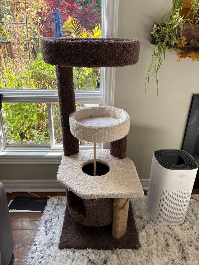 Large Multi-Level Cat Tree