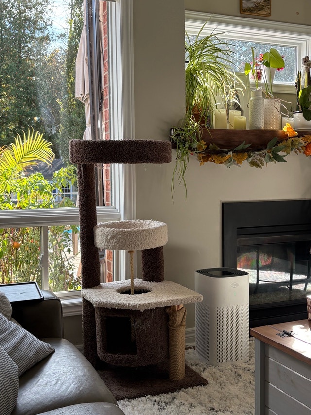 Large Multi-Level Cat Tree - photo 2