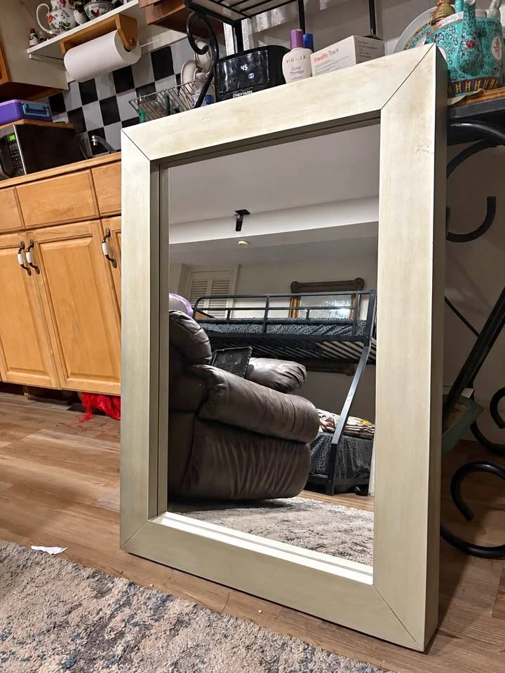 West Elm Champagne Silver Framed Wall Mirror