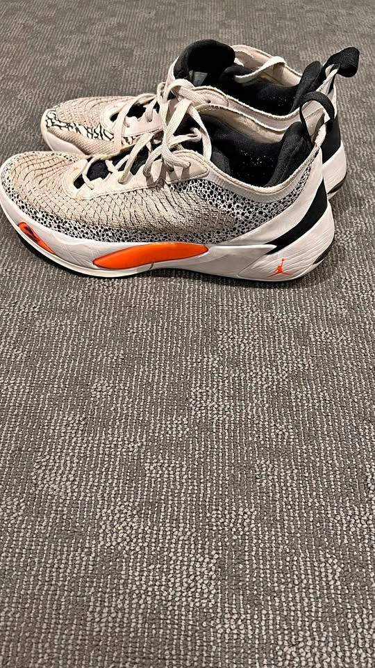 Jordan Luka 1 Safari – Men's 10.5, New Insoles