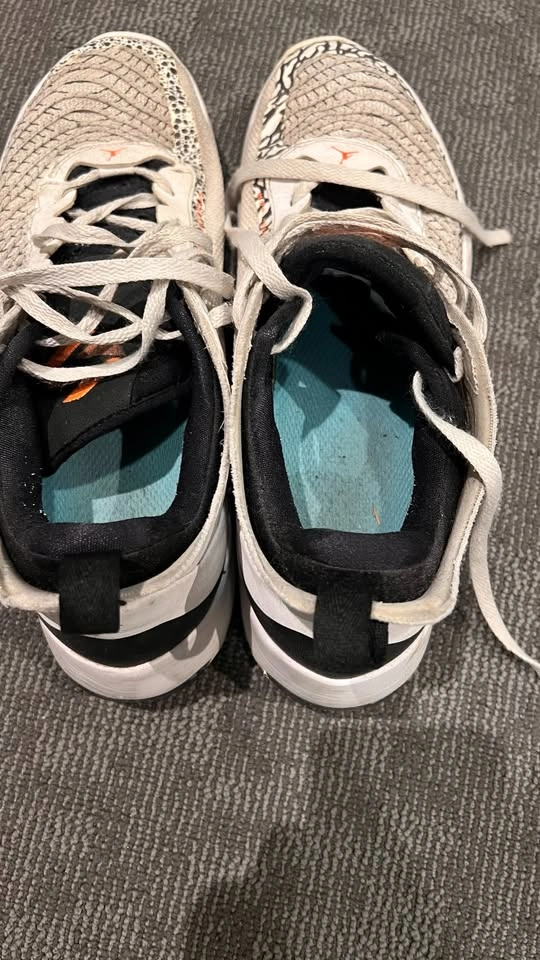 Jordan Luka 1 Safari – Men's 10.5, New Insoles - photo 4
