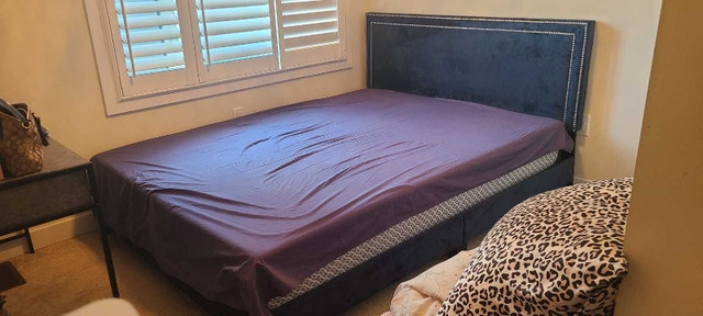 Navy Blue Velvet Bed Frame – $300 (Originally $900)