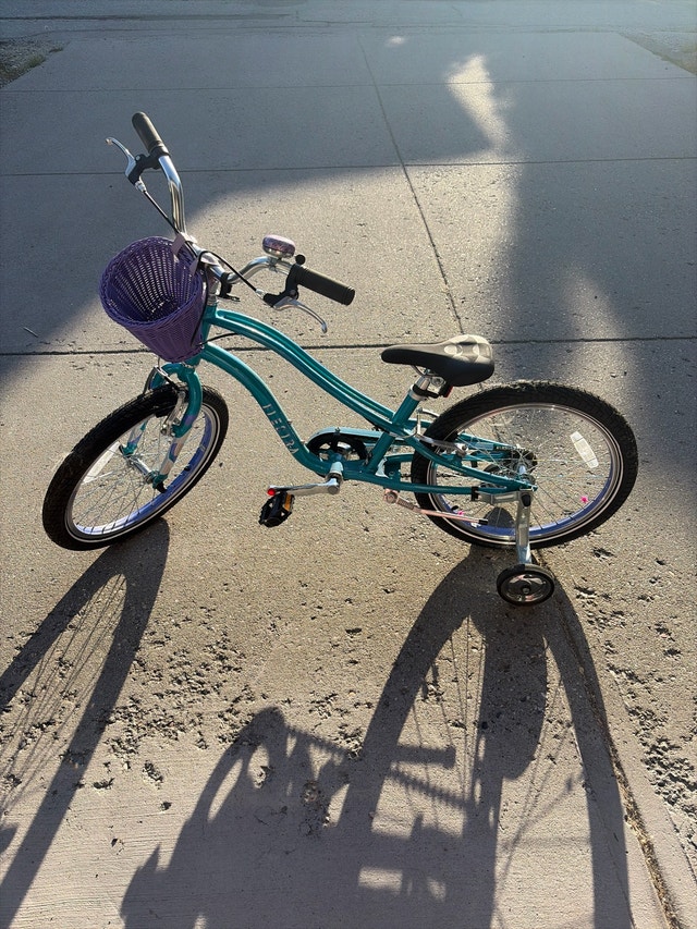 New Electra Bike - Sprocket 1 - 20inch