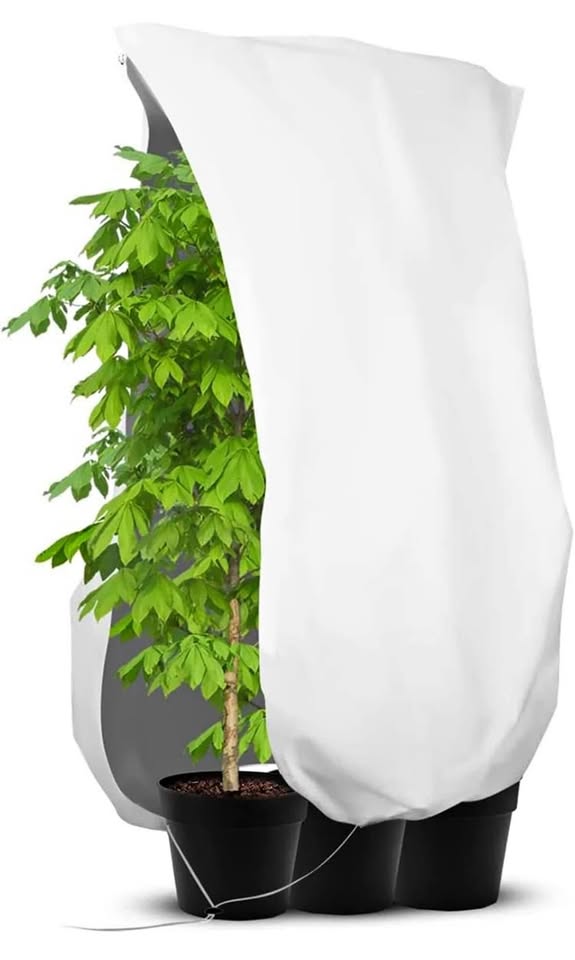 HOOPOE Plant protection for winter, 120 x 180 cm