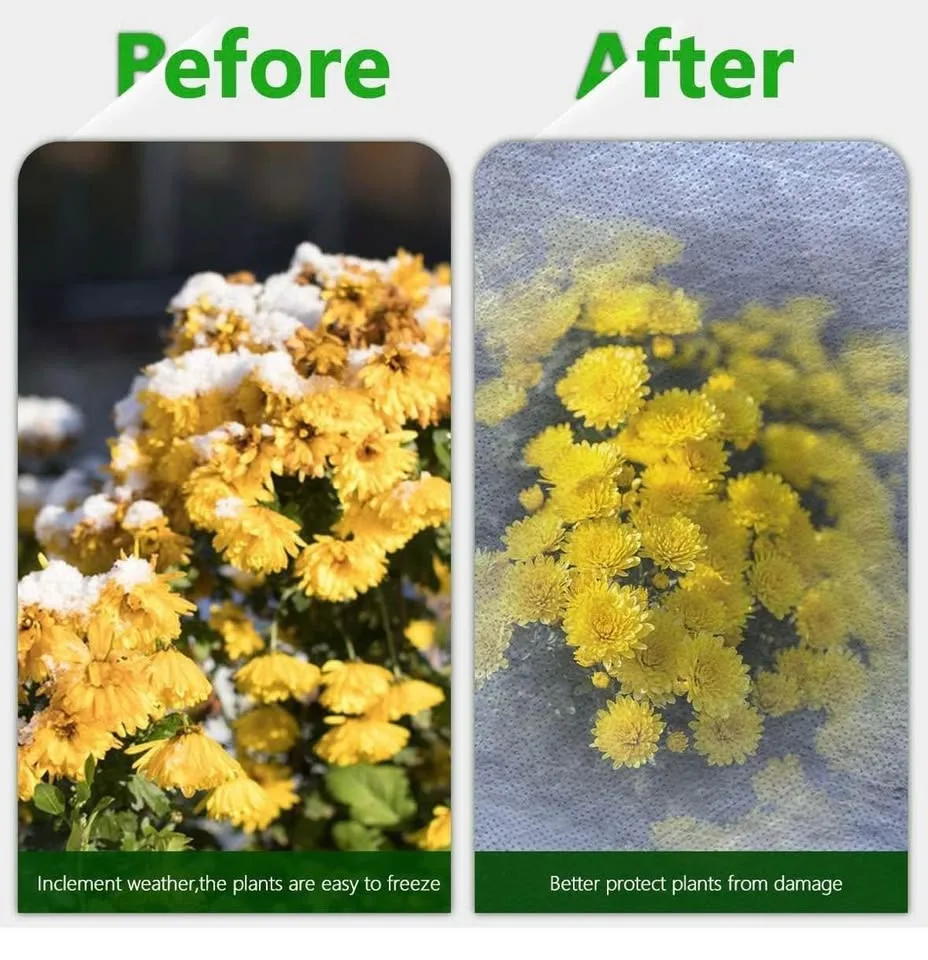 HOOPOE Plant protection for winter, 120 x 180 cm image indicator(6)