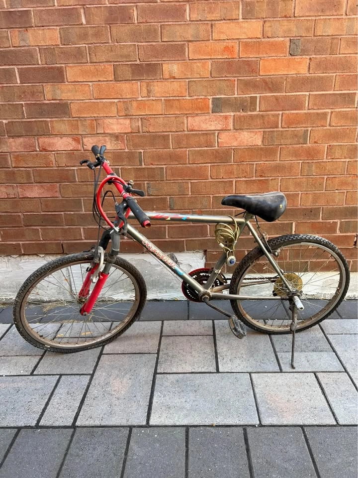Bike with Pegs and Shocks - Back Tire Needs Fixing