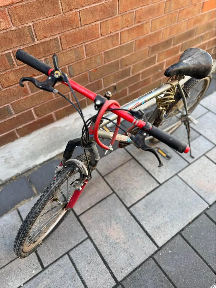 Bike with Pegs and Shocks - Back Tire Needs Fixing - photo 2